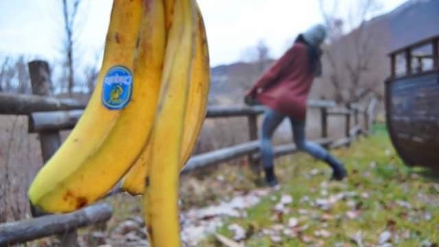 I Cheated on my Girlfriend by Slipping on a Banana Skin!!